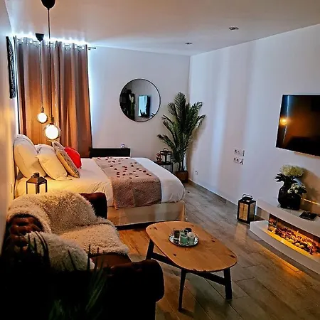 Appartement La D'ysis - Jacuzzi - Saint-etienne